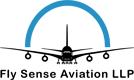 fly-sense-aviation-llp-brainwise-india
